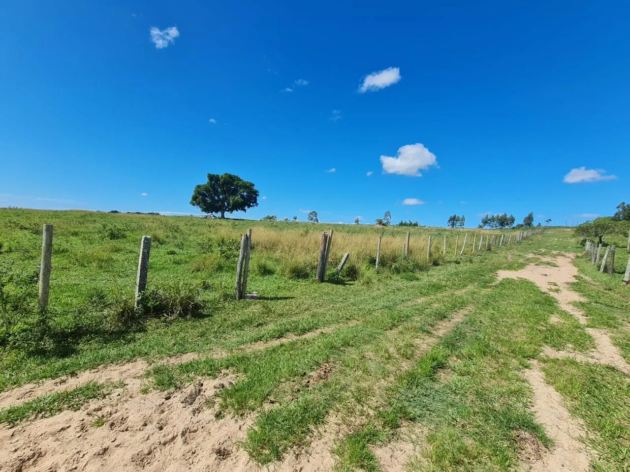 Fazenda à venda de 125 ha em Araruama, RJ, Brasil