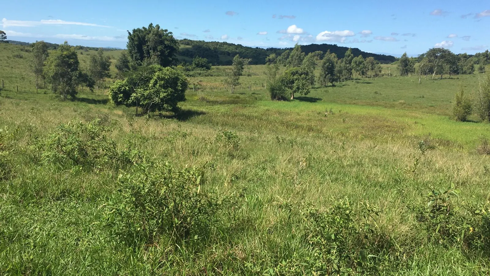 Fazenda à venda de 125 ha em Araruama, RJ, Brasil