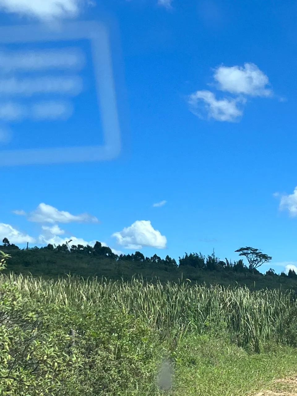Fazenda à venda de 125 ha em Araruama, RJ, Brasil