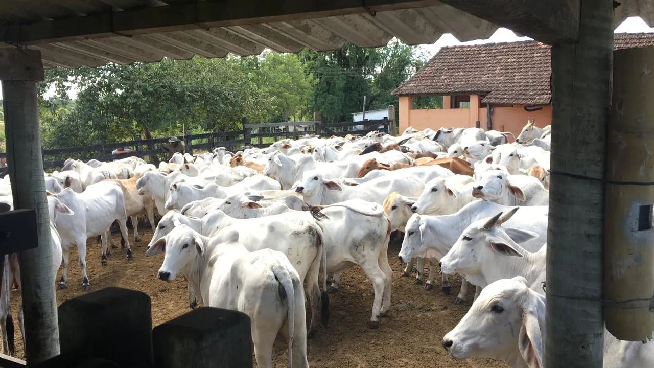 Fazenda à venda de 125 ha em Araruama, RJ, Brasil