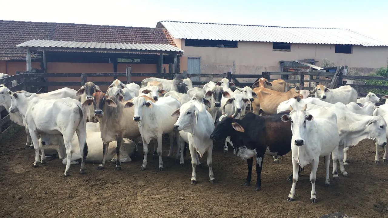 Fazenda à venda de 125 ha em Araruama, RJ, Brasil