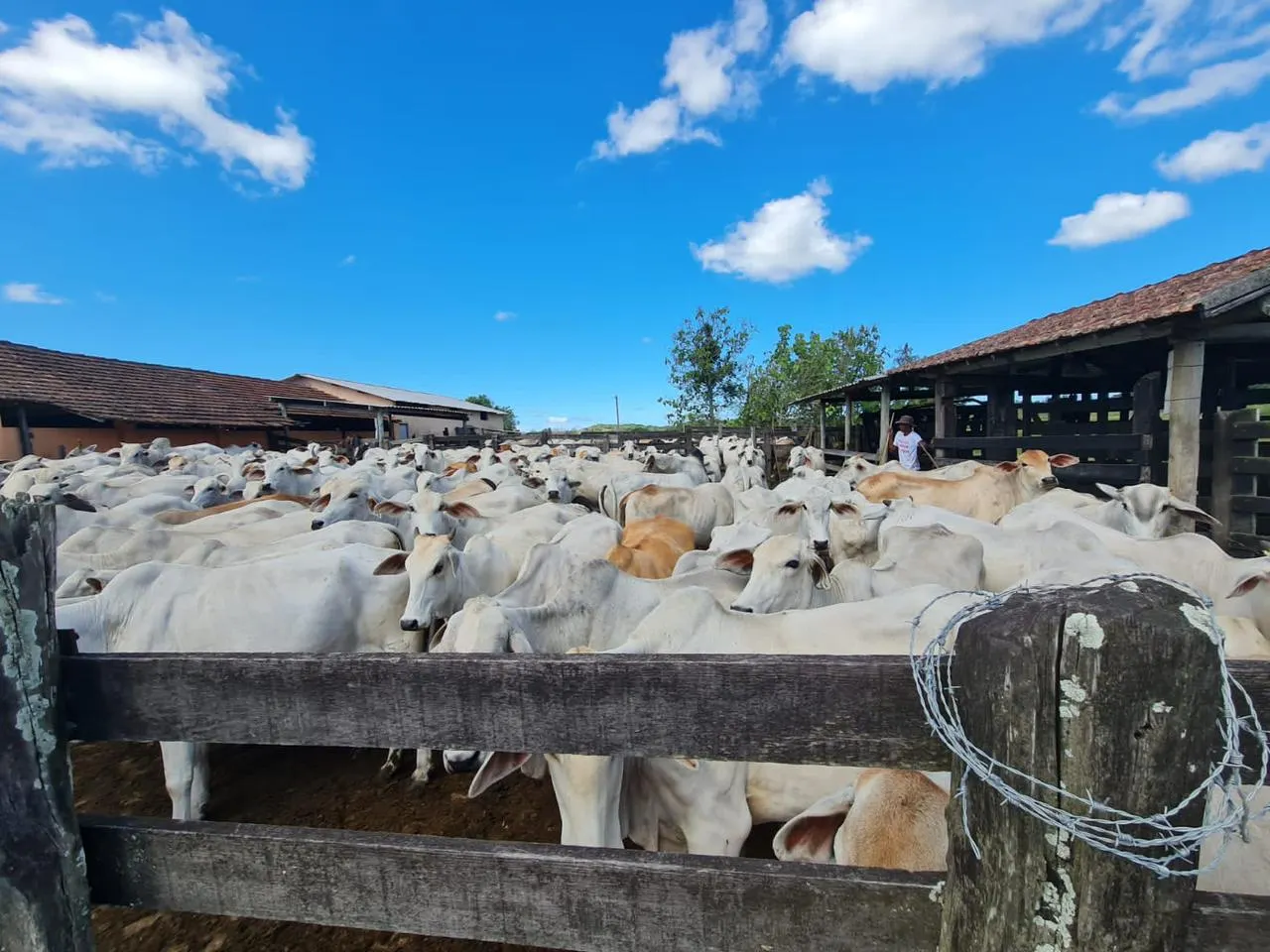 Fazenda à venda de 125 ha em Araruama, RJ, Brasil