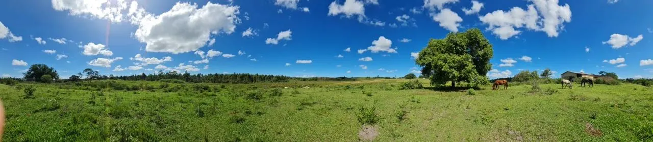 Fazenda à venda de 125 ha em Araruama, RJ, Brasil