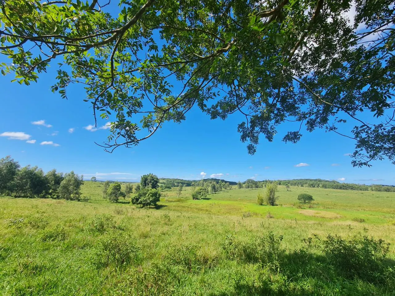 Fazenda à venda de 125 ha em Araruama, RJ, Brasil