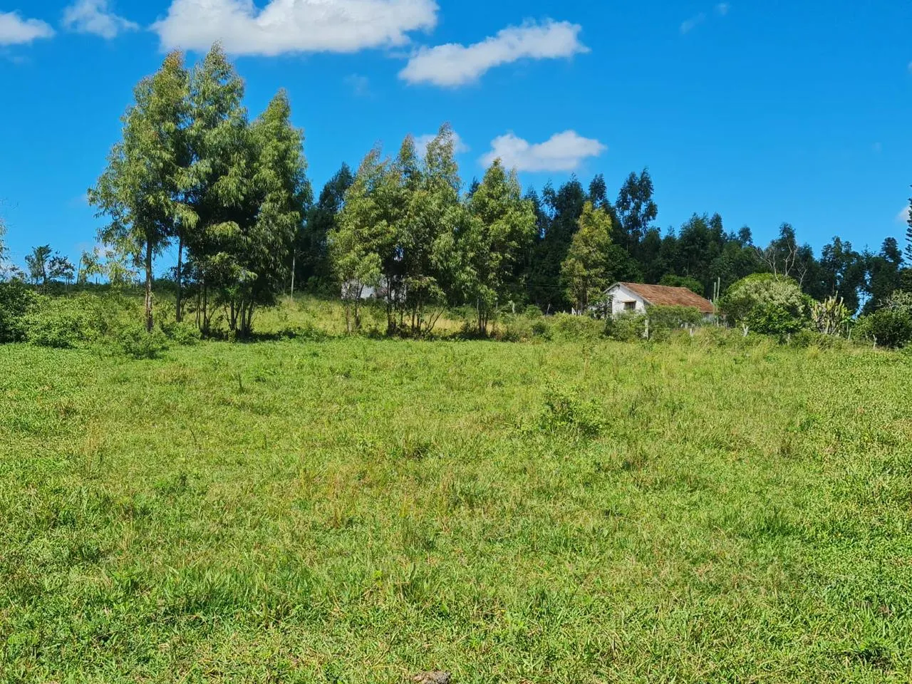 Fazenda à venda de 125 ha em Araruama, RJ, Brasil