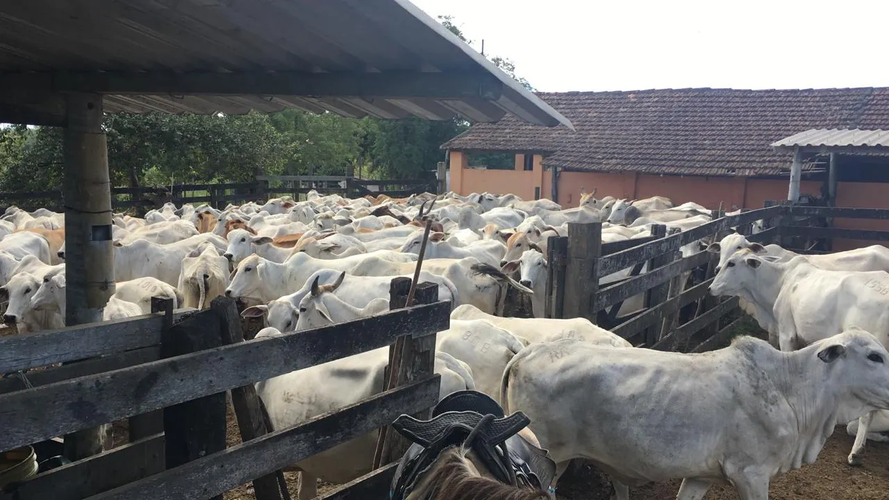 Fazenda à venda de 125 ha em Araruama, RJ, Brasil