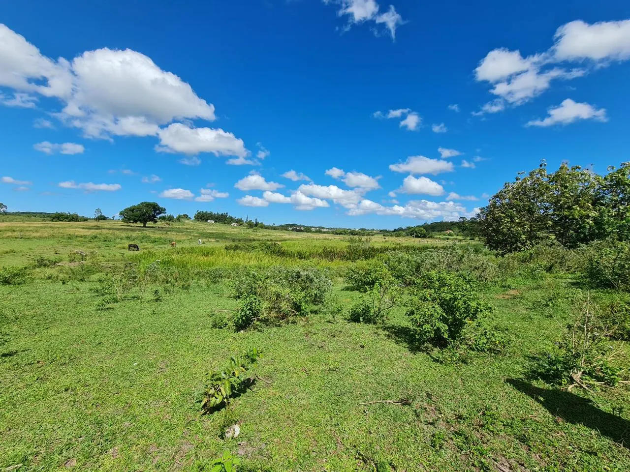 Fazenda à venda de 125 ha em Araruama, RJ, Brasil