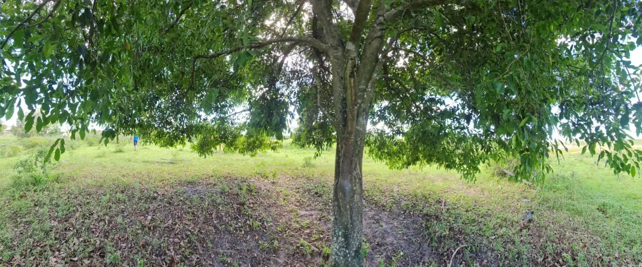 Fazenda à venda de 125 ha em Araruama, RJ, Brasil