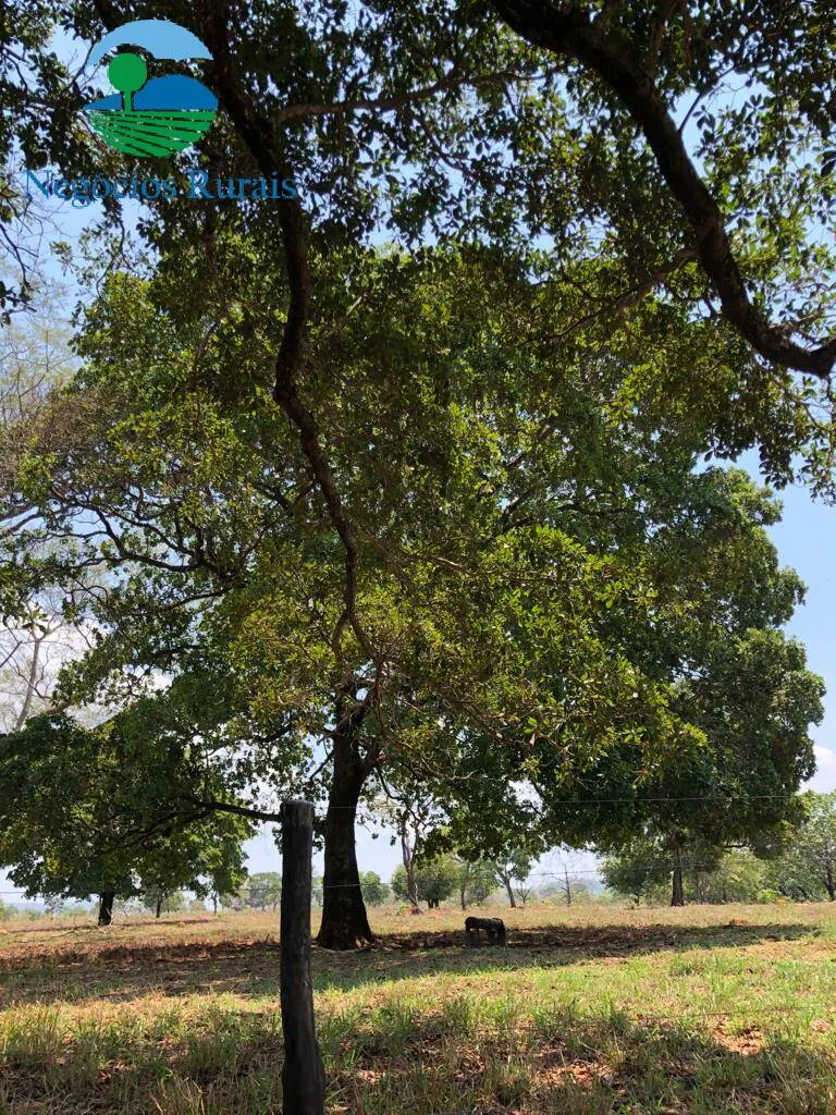 Farm for sale of 979 acres in Uruaçu, GO, Brazil