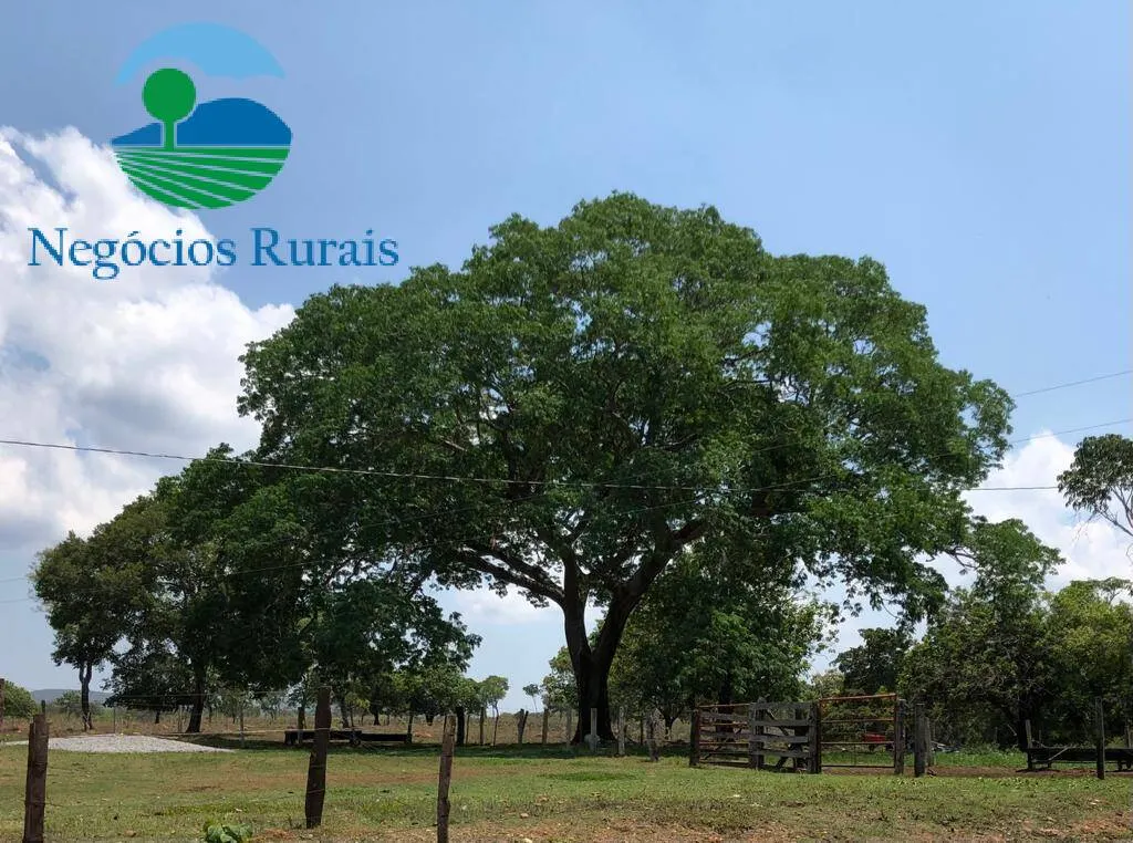 Farm for sale of 979 acres in Uruaçu, GO, Brazil