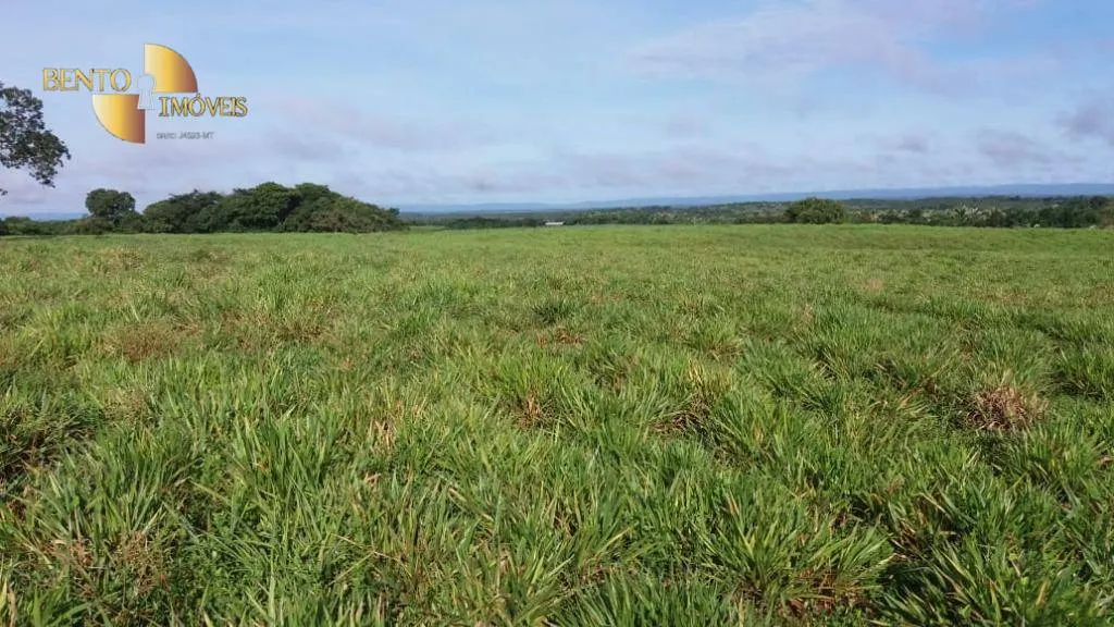 Fazenda à venda de 370 ha em Acorizal, MT, Brasil