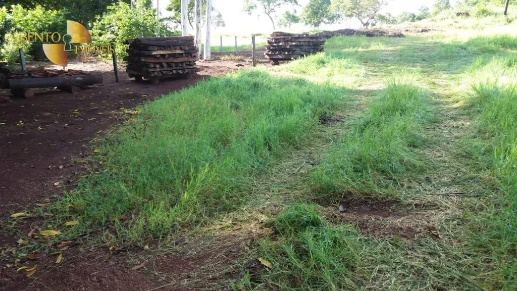 Fazenda à venda de 370 ha em Acorizal, MT, Brasil