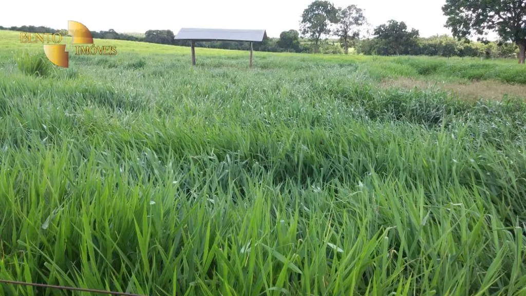 Fazenda à venda de 370 ha em Acorizal, MT, Brasil