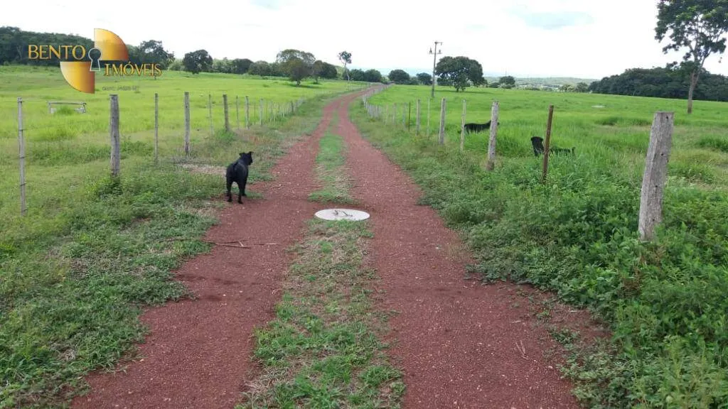 Fazenda à venda de 370 ha em Acorizal, MT, Brasil