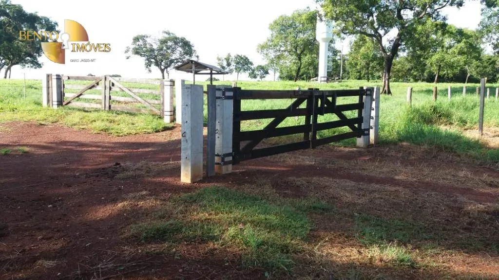 Fazenda à venda de 370 ha em Acorizal, MT, Brasil