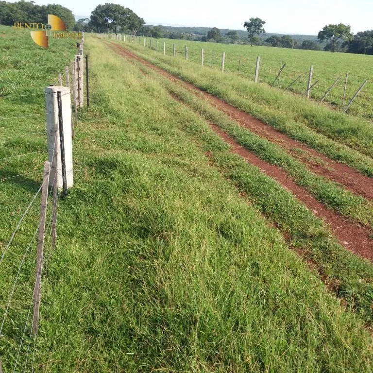 Fazenda à venda de 370 ha em Acorizal, MT, Brasil