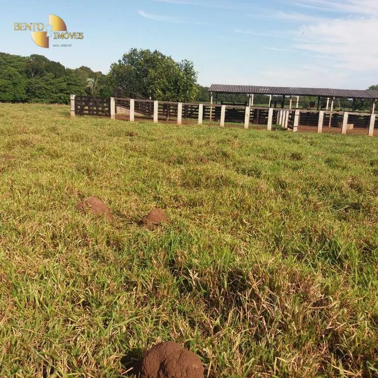 Fazenda à venda de 370 ha em Acorizal, MT, Brasil