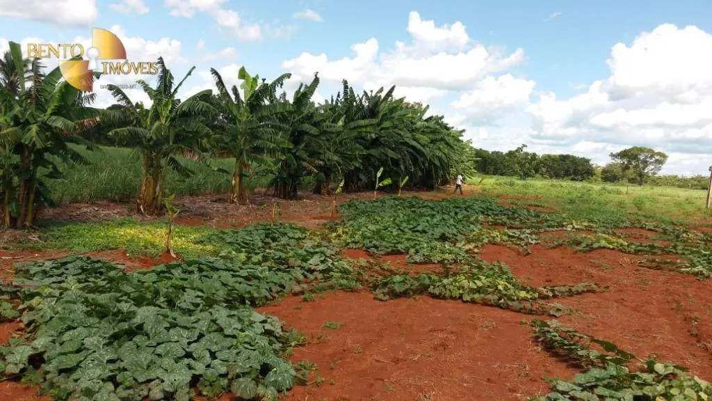 Fazenda à venda de 370 ha em Acorizal, MT, Brasil