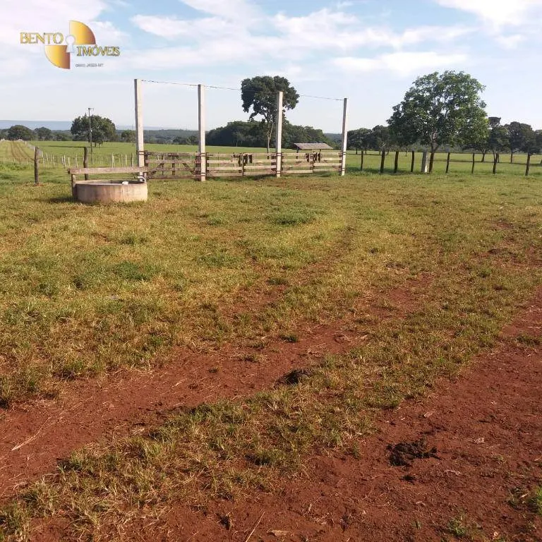Fazenda à venda de 370 ha em Acorizal, MT, Brasil