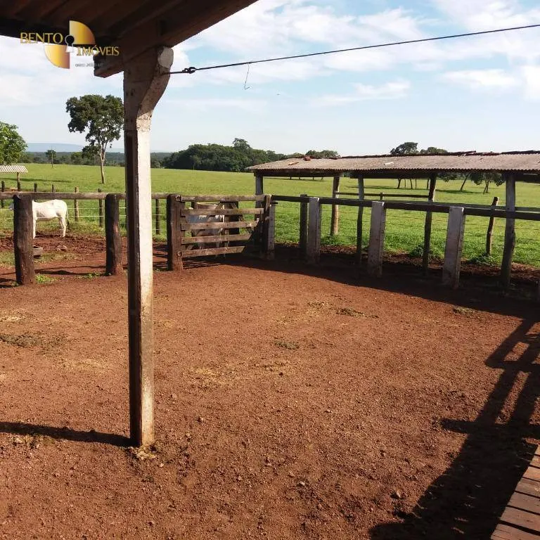 Fazenda à venda de 370 ha em Acorizal, MT, Brasil