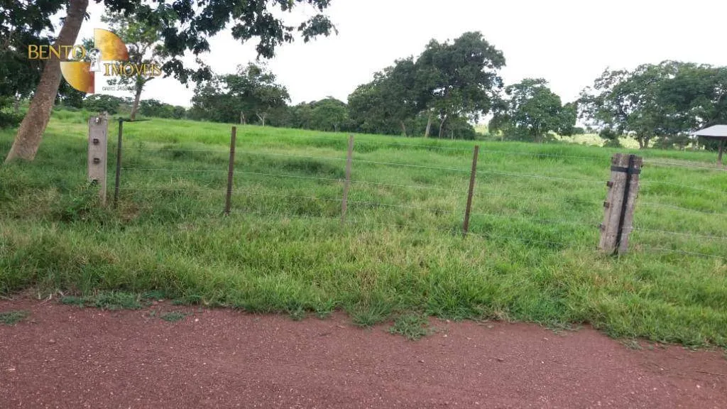 Fazenda à venda de 370 ha em Acorizal, MT, Brasil
