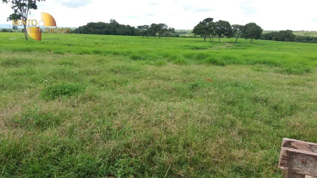 Fazenda à venda de 370 ha em Acorizal, MT, Brasil
