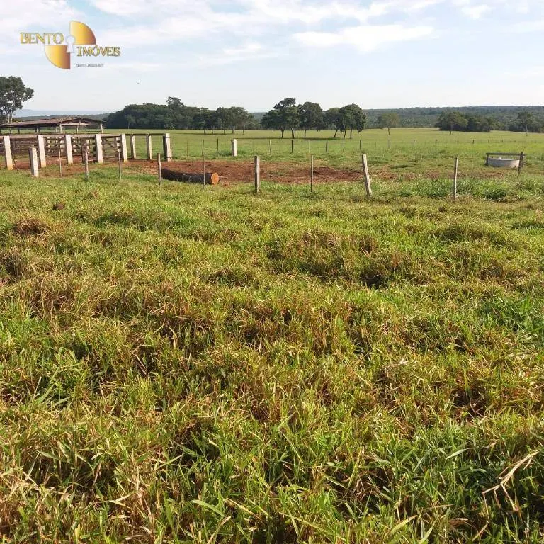Fazenda à venda de 370 ha em Acorizal, MT, Brasil