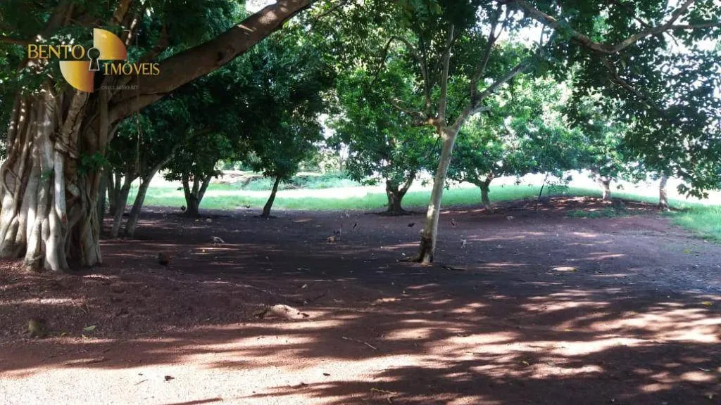 Fazenda à venda de 370 ha em Acorizal, MT, Brasil