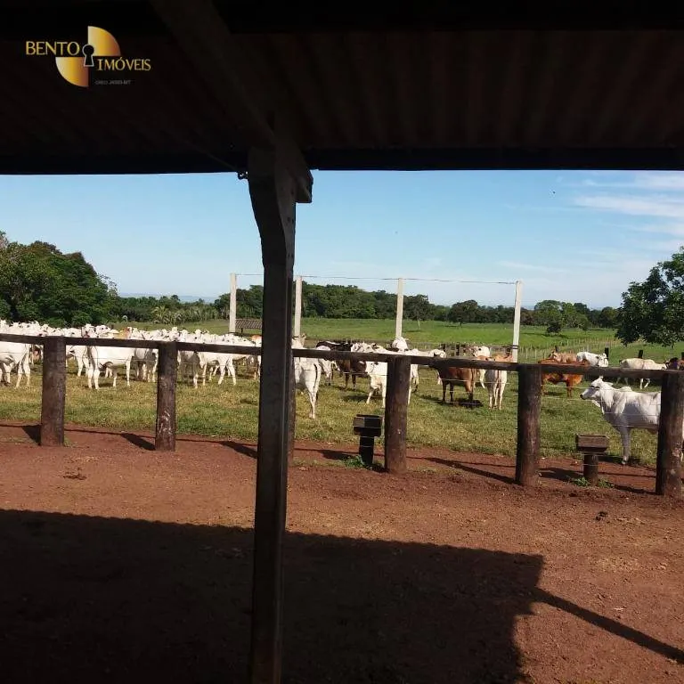 Fazenda à venda de 370 ha em Acorizal, MT, Brasil
