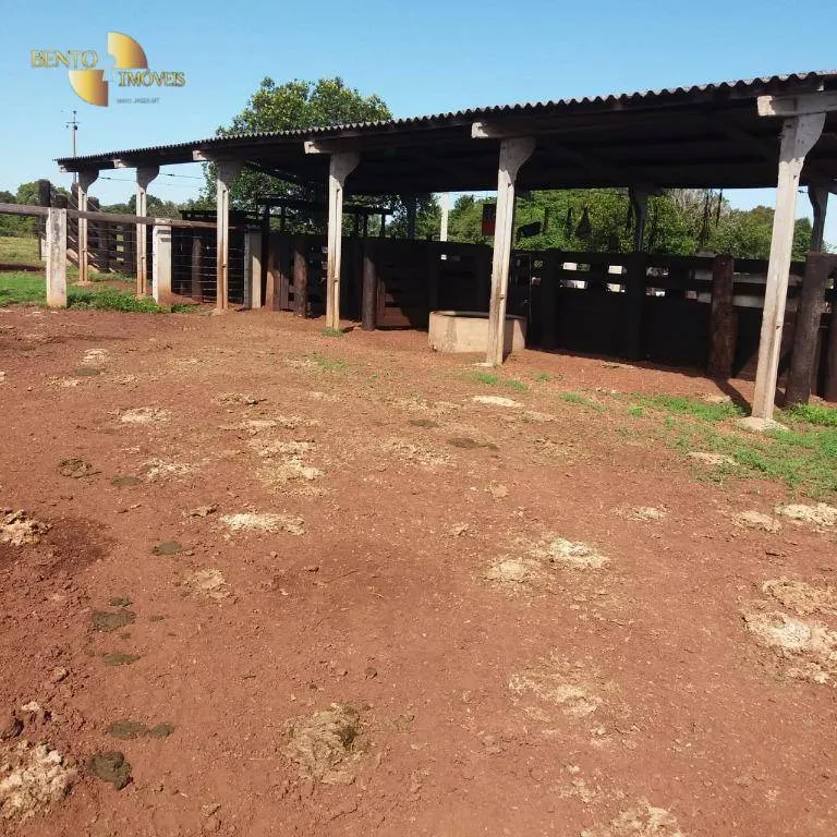 Fazenda à venda de 370 ha em Acorizal, MT, Brasil