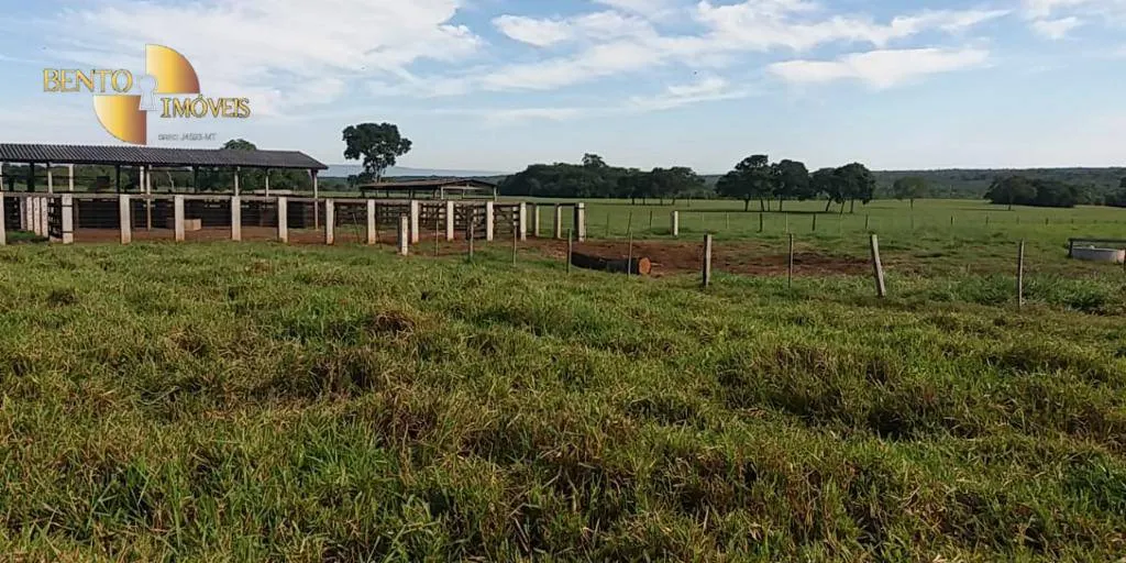 Fazenda à venda de 370 ha em Acorizal, MT, Brasil