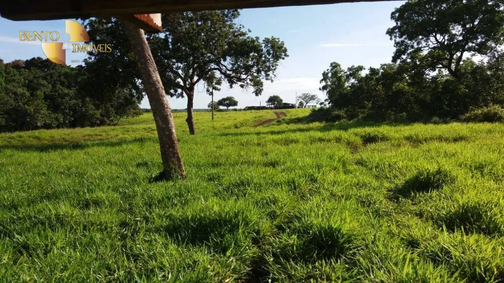 Fazenda à venda de 370 ha em Acorizal, MT, Brasil