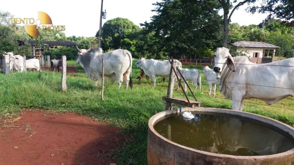 Fazenda à venda de 370 ha em Acorizal, MT, Brasil