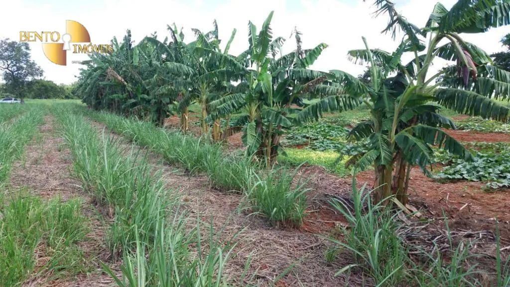 Fazenda à venda de 370 ha em Acorizal, MT, Brasil