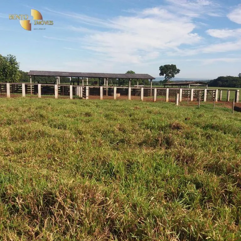 Fazenda à venda de 370 ha em Acorizal, MT, Brasil
