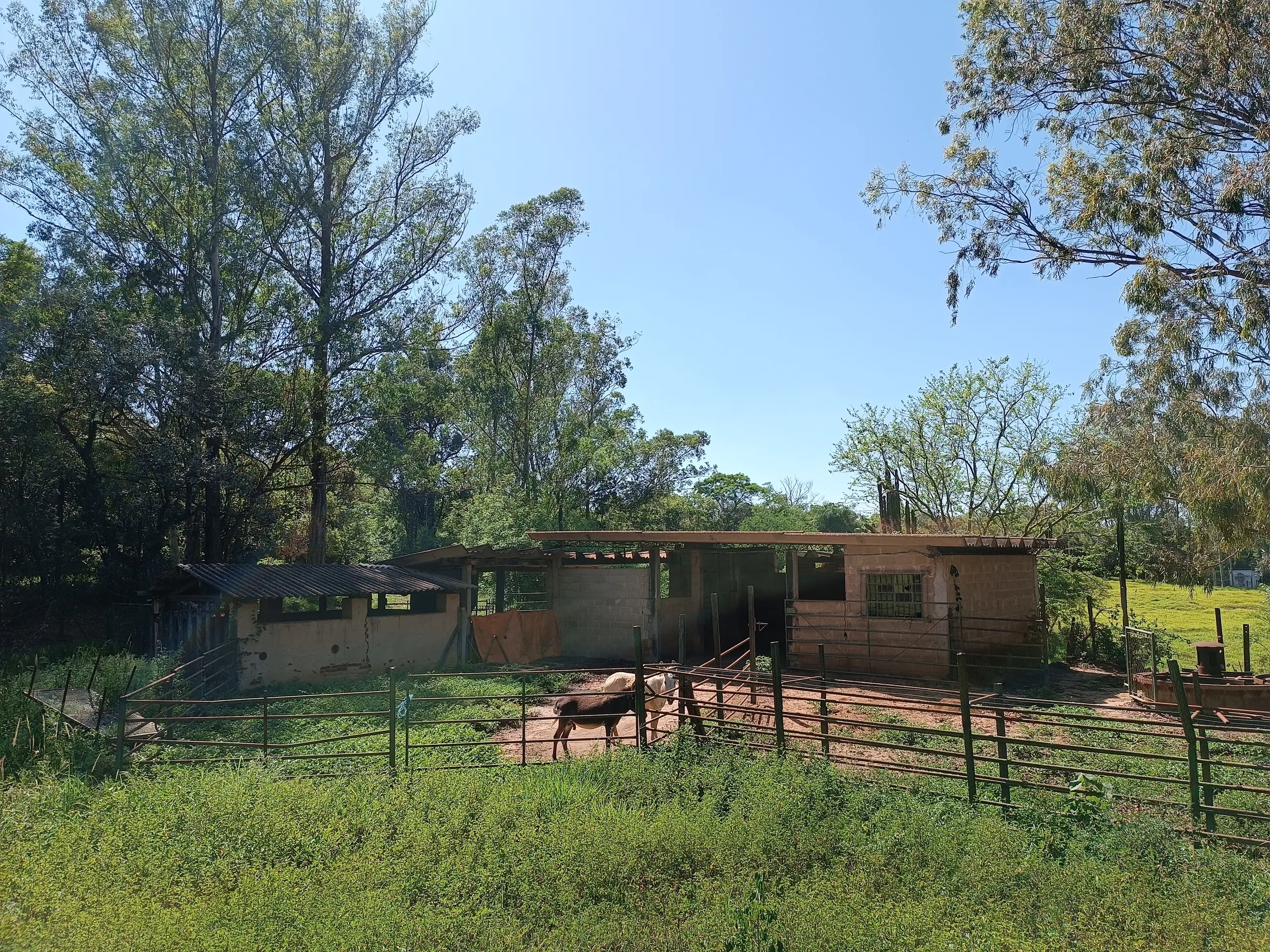 Small farm for sale of 25 acres in Capivari, SP, Brazil
