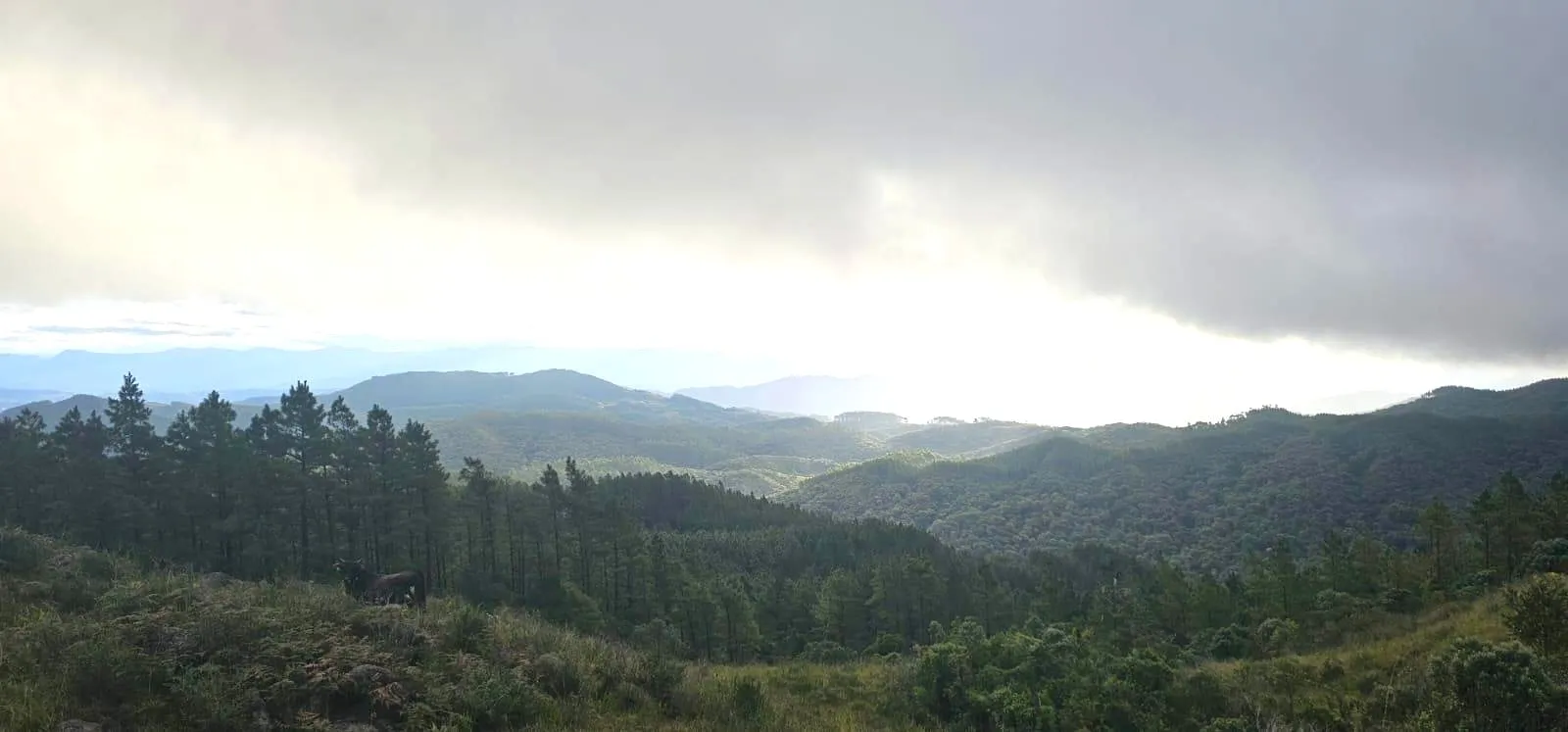 Fazenda à venda de 574 ha em São Bonifácio, SC, Brasil