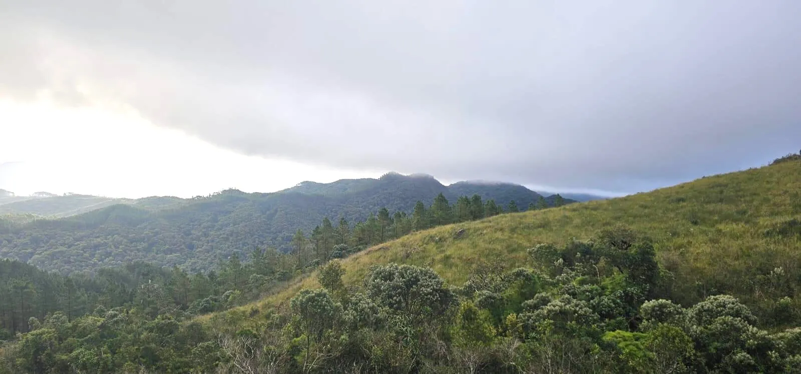Fazenda à venda de 574 ha em São Bonifácio, SC, Brasil