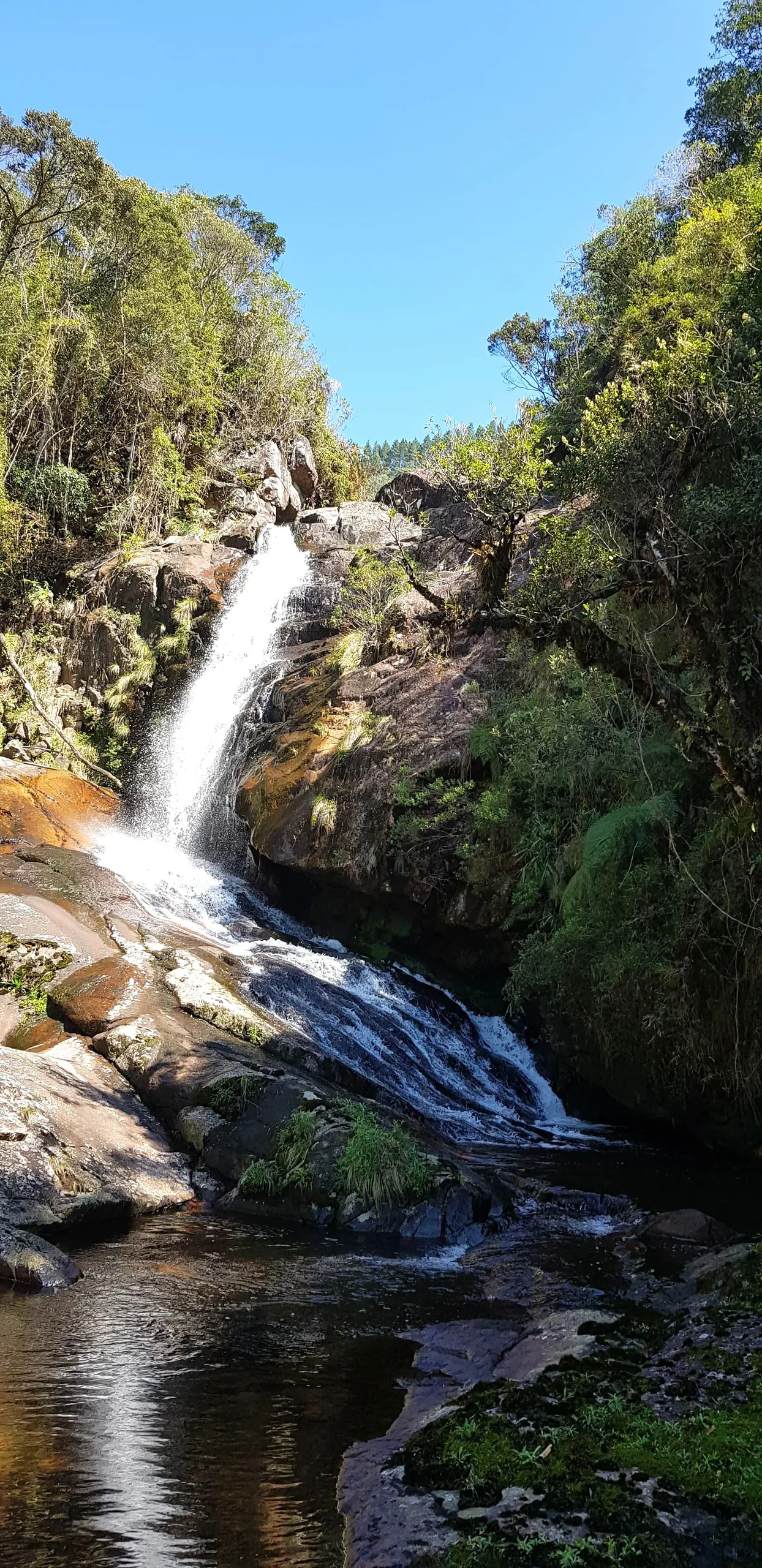 Fazenda à venda de 574 ha em São Bonifácio, SC, Brasil
