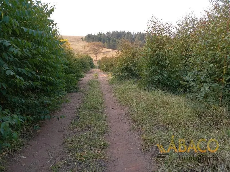 Small farm for sale of 8 acres in São Carlos, SP, Brazil