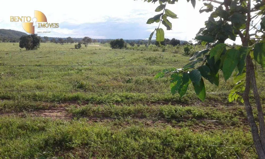 Fazenda à venda de 1.158 ha em Primavera do Leste, MT, Brasil