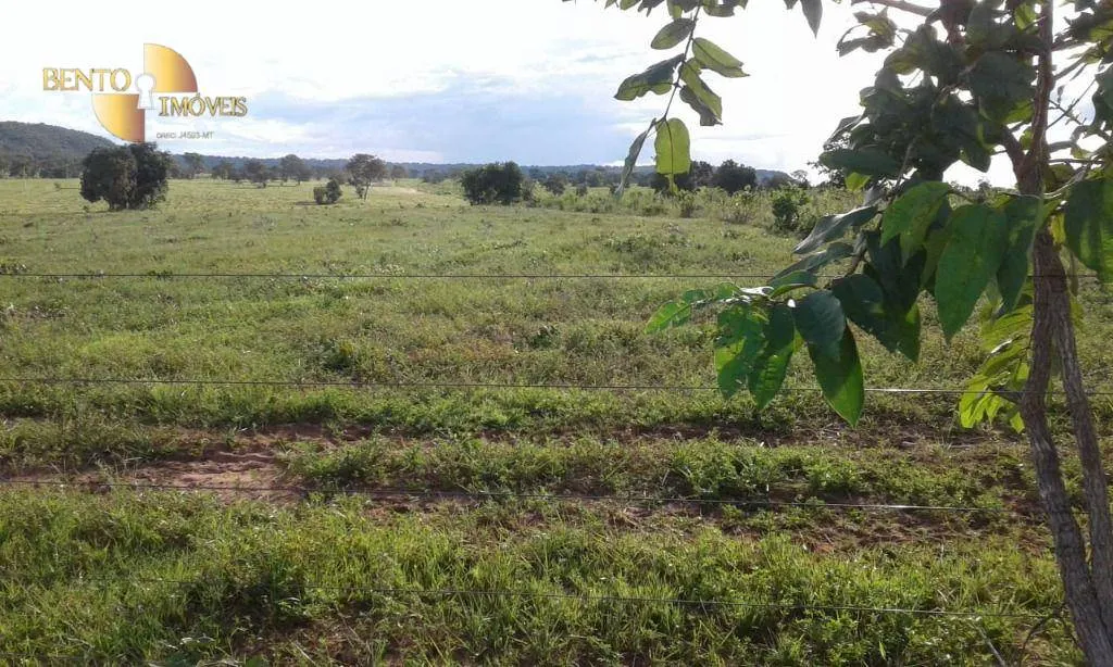 Fazenda à venda de 1.158 ha em Primavera do Leste, MT, Brasil