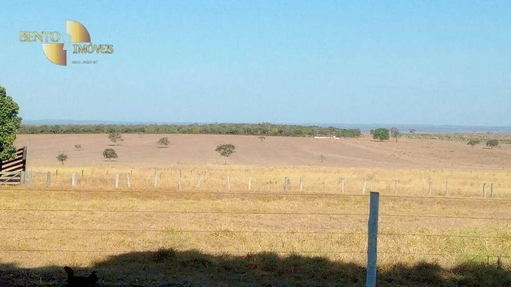 Fazenda à venda de 1.158 ha em Primavera do Leste, MT, Brasil