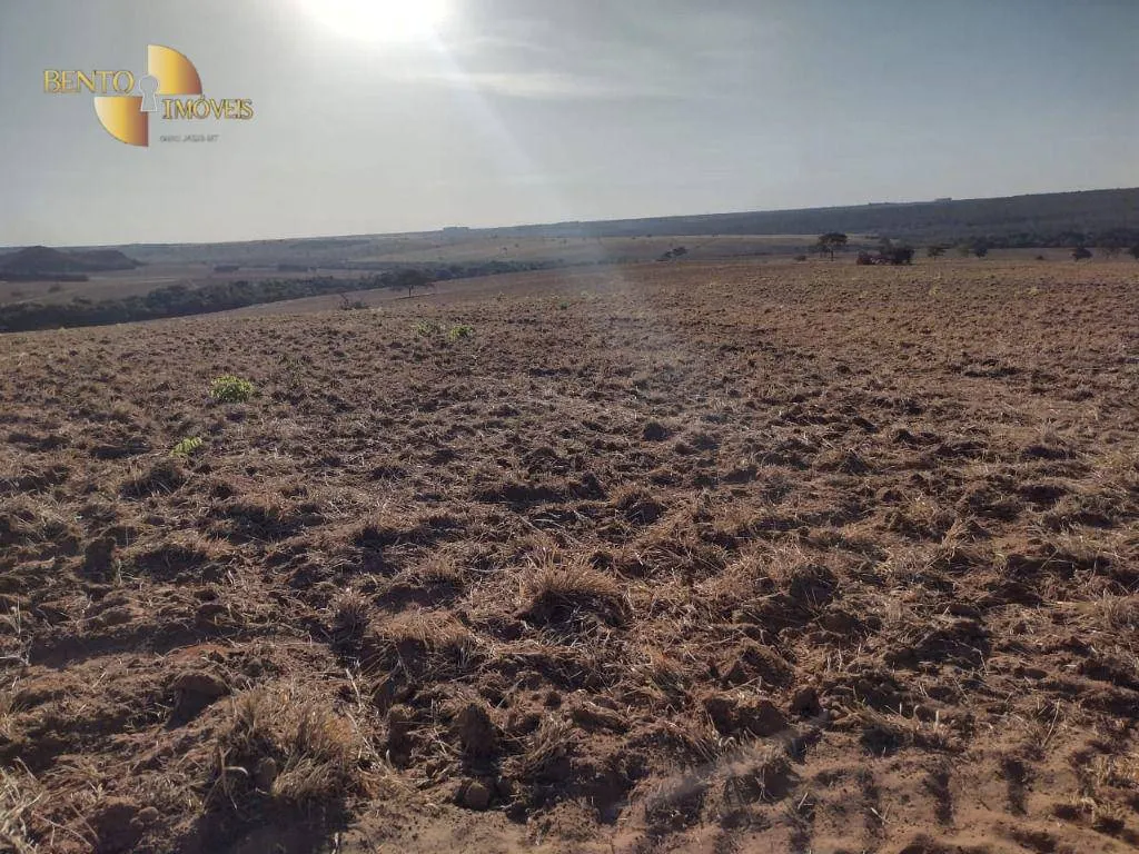 Fazenda à venda de 1.158 ha em Primavera do Leste, MT, Brasil