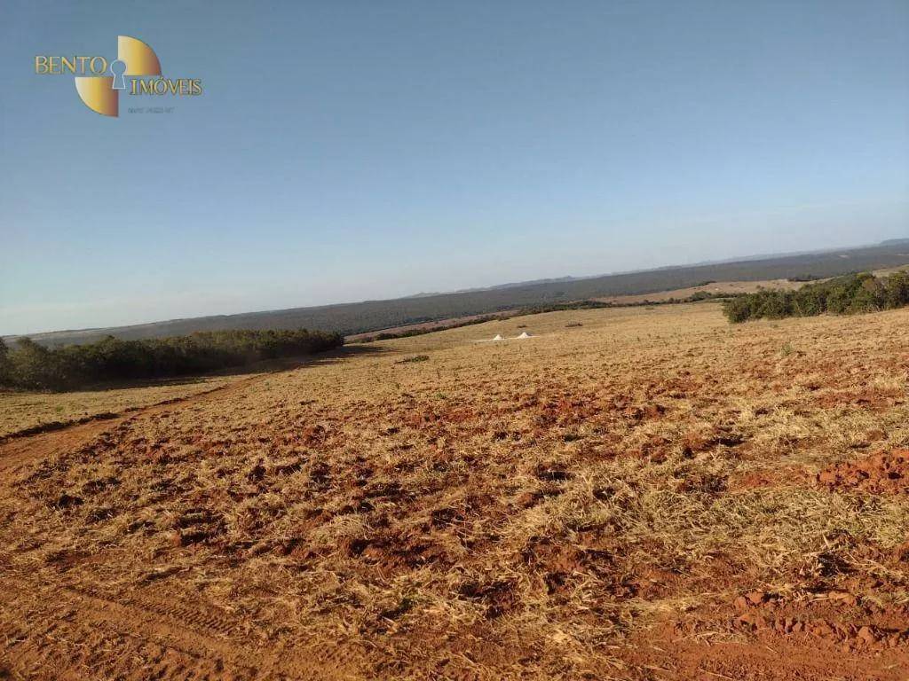 Fazenda à venda de 1.158 ha em Primavera do Leste, MT, Brasil