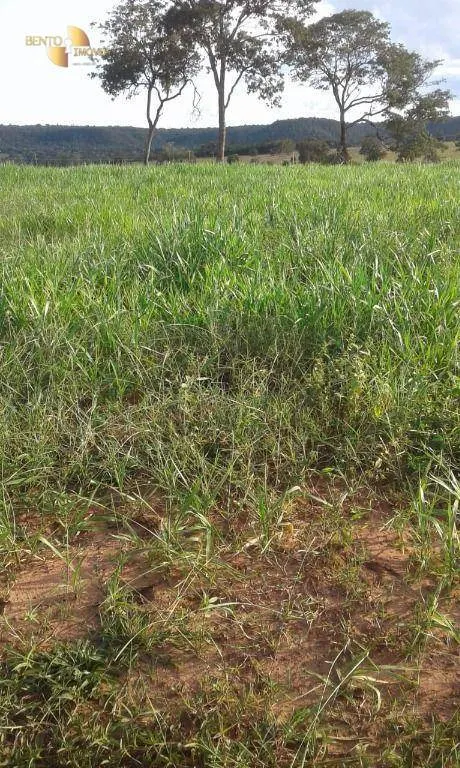 Fazenda à venda de 1.158 ha em Primavera do Leste, MT, Brasil