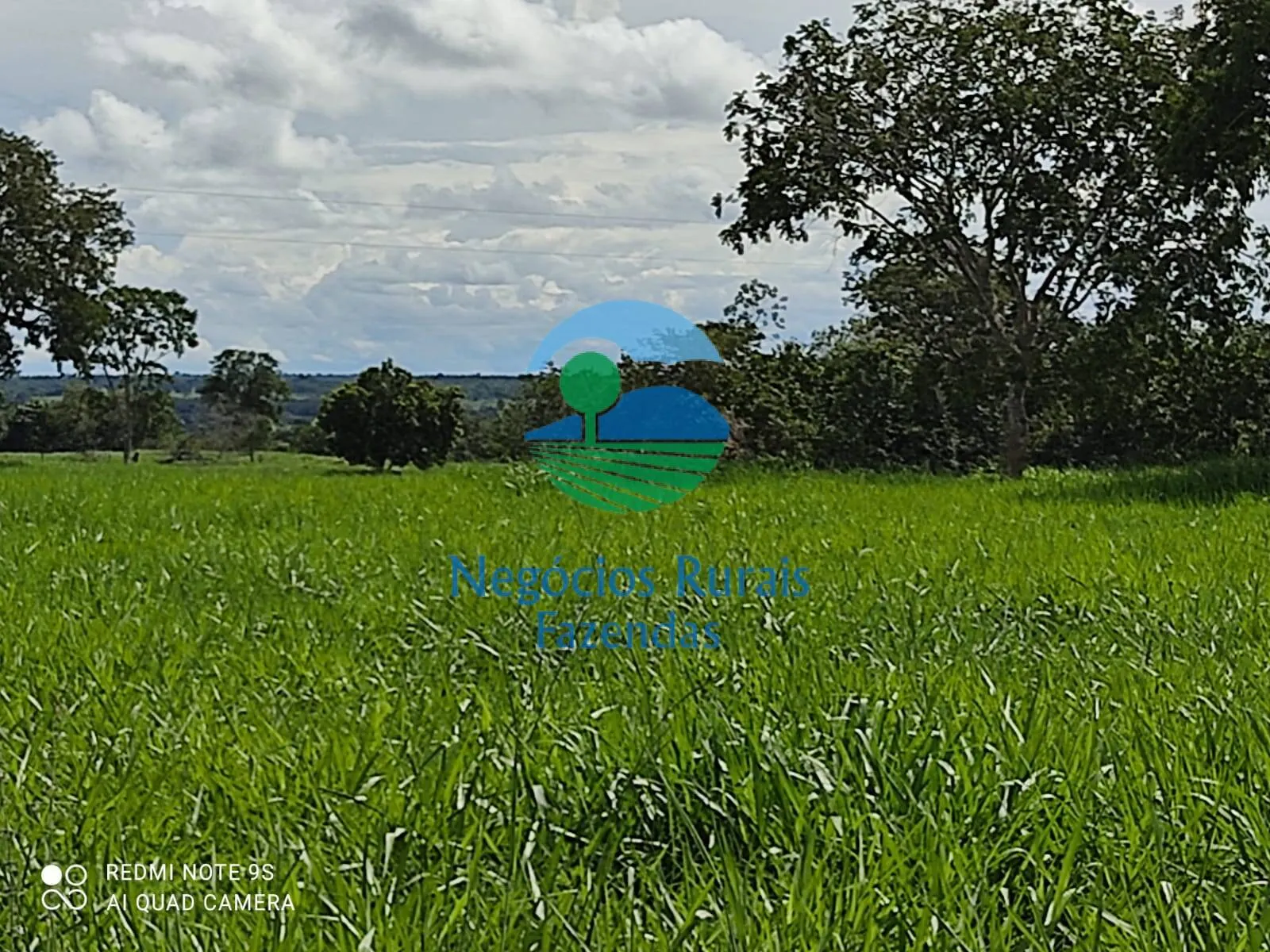 Fazenda à venda de 489 ha em Montividiu do Norte, GO, Brasil