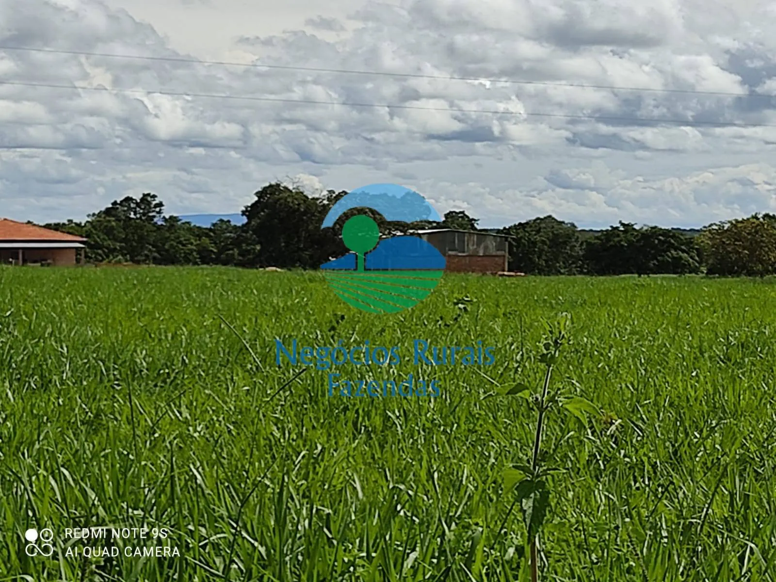 Fazenda à venda de 489 ha em Montividiu do Norte, GO, Brasil
