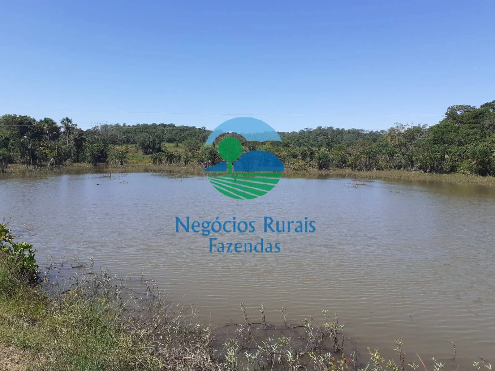 Fazenda à venda de 489 ha em Montividiu do Norte, GO, Brasil