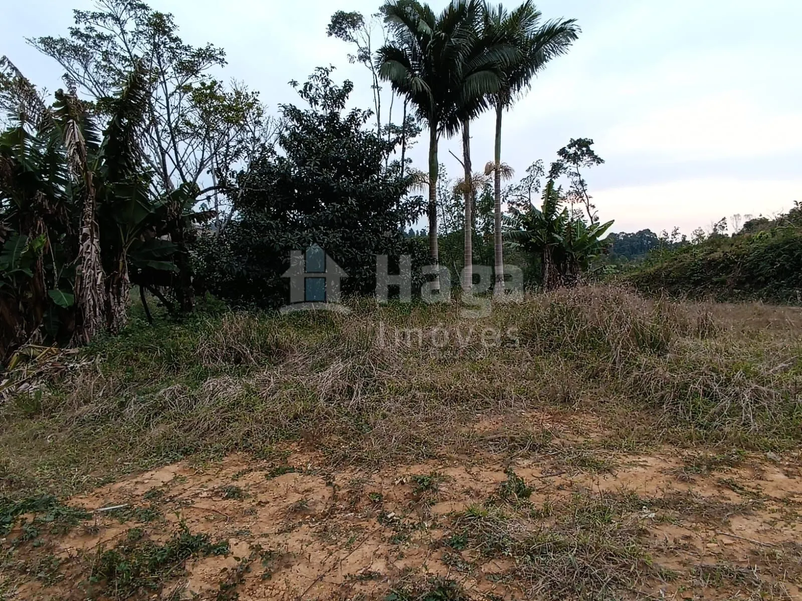 Fazenda à venda de 2 ha em Botuverá, SC, Brasil